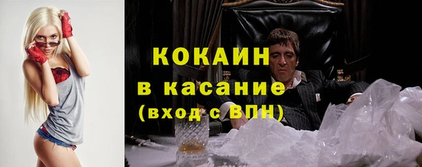 дживик Касимов