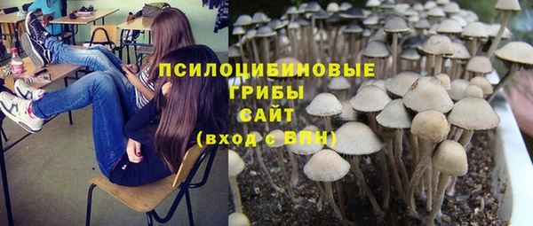бошки Каменногорск