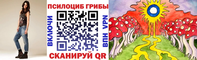 Псилоцибиновые грибы MAGIC MUSHROOMS  Купить  Тихвин 