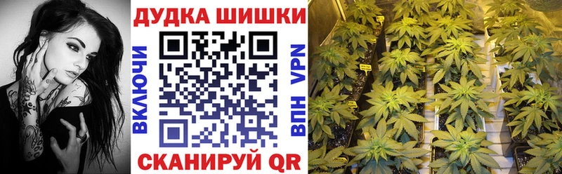 Каннабис индика  Купить где  Тихвин 